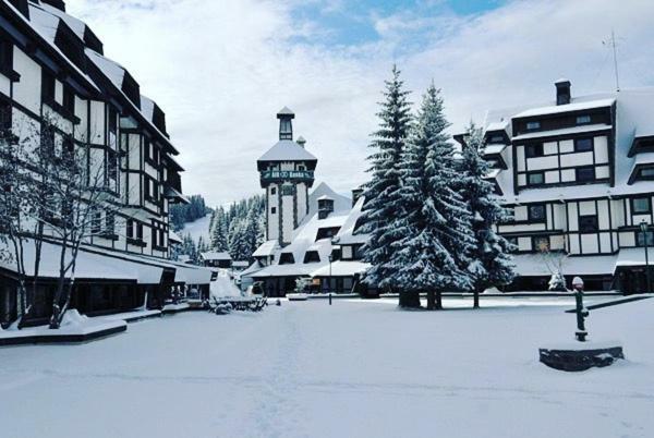 Moni Luxury Apartments Kopaonik Extérieur photo